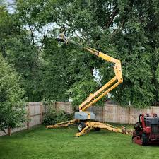 Best Tree Removal Services  in Bonne Terre, MO